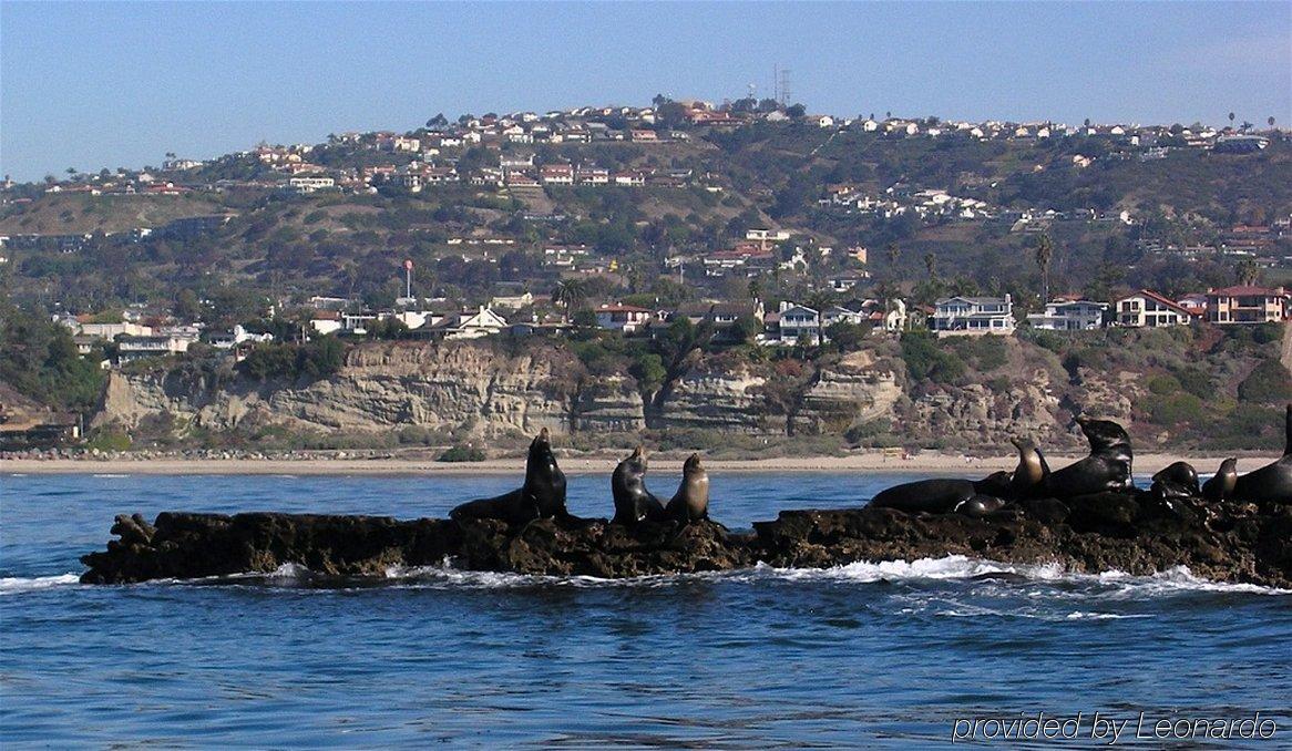 Holiday Inn Express San Clemente N - Beach Area By Ihg Ngoại thất bức ảnh